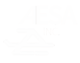 AESA Inc